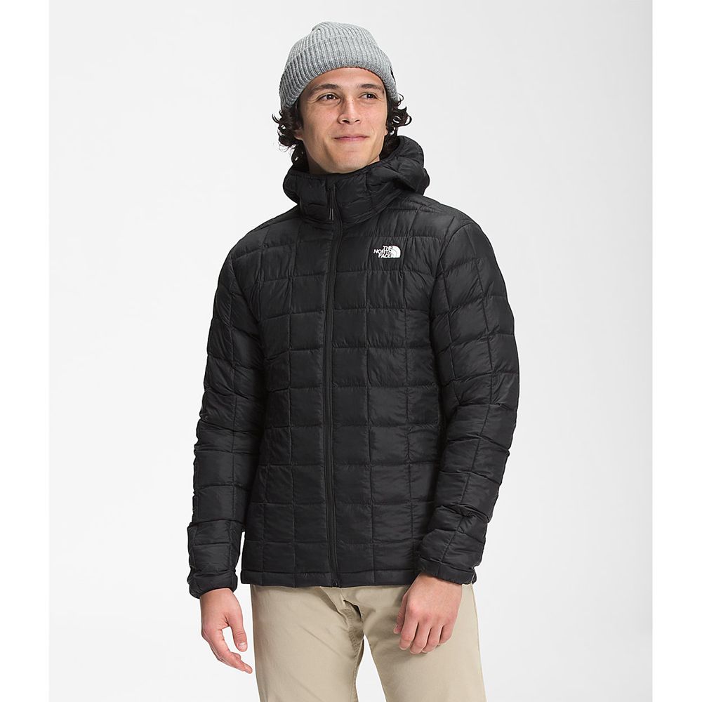 The North Face Hooded Jacket Mens Australia - The North Face Thermoball™ Eco Black (LFG-014835)